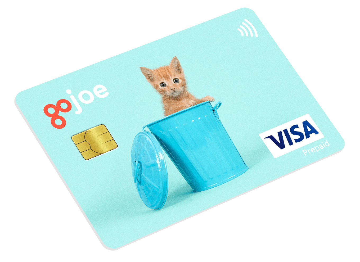 animal-card-3