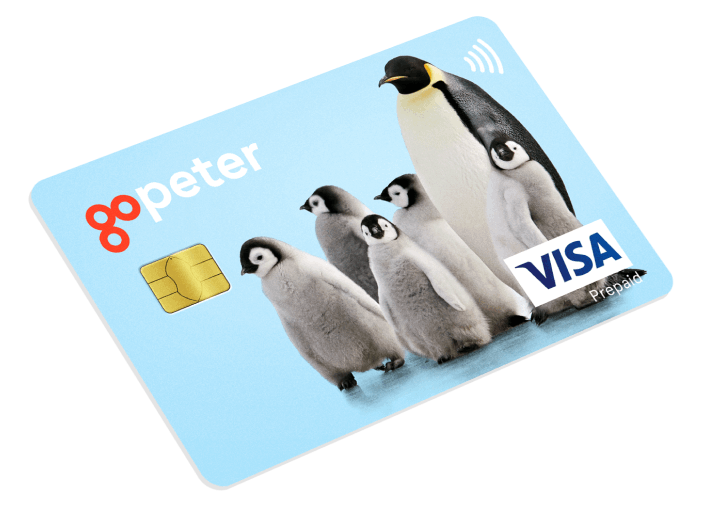 card-1