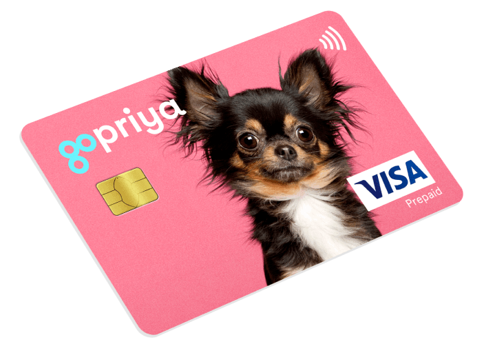card-1