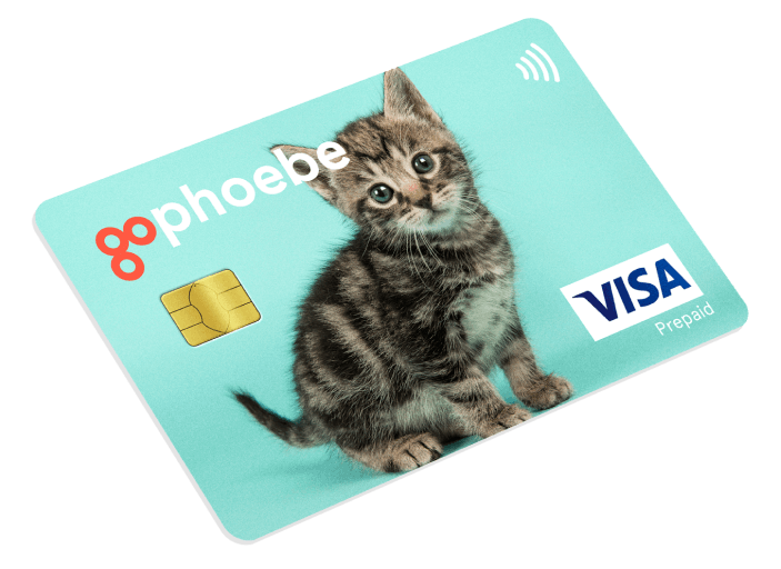 card-2