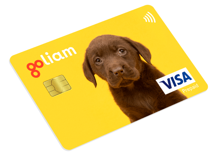 card-2
