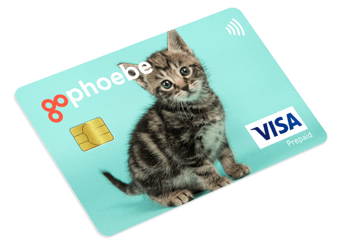 card-3